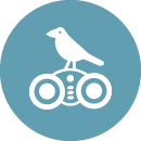 Bird Watching icon