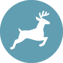 Hunting icon